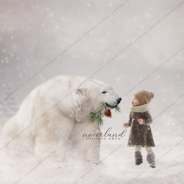 5 PACK Smiling Momma Polar Bear / Winter Background for Photography Composites /  Christmas Composition Backdrop