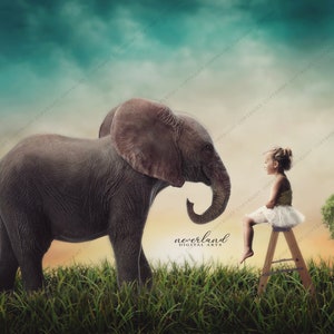 Friendly Elephant Backdrop Background / Digital Background / Fantasy Backdrop / Magical Download / Instant Download for Photographers