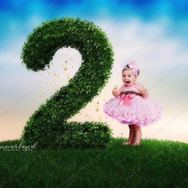 2nd Birthday Background For Photography Compositions / Digital Backdrop /  Add your own subject composite / Birthday Party / Balloon /