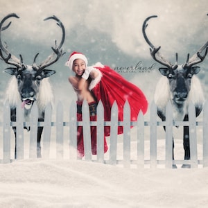 Reindeer Composite Background for Photography /  Christmas Backdrop / Photoshop / Winter Scene / Snow Composition For Photographers / Forest