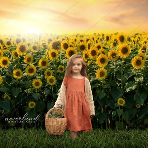 LAYERED Sunflower Backdrop / Digital Background / Composite / PSD Composition For Photographers / Sun Flower Layers / Overlays