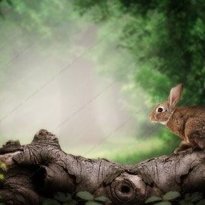 Bunny on a Log Digital Background For Photography Compositions / For Photographers / Photoshop /  Easter Backdrop