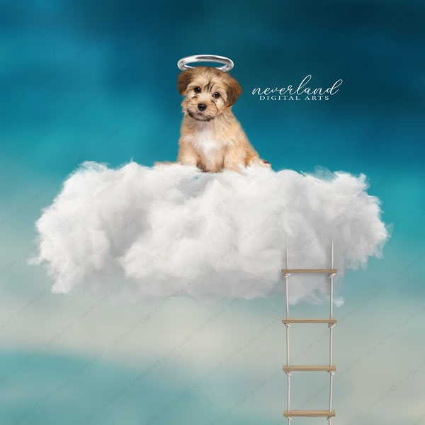 4 PACK Angel Cloud Digital Background For Photography Composites / Photoshop Backdrop / Pet Memorial / Rainbow Bridge / Overlay