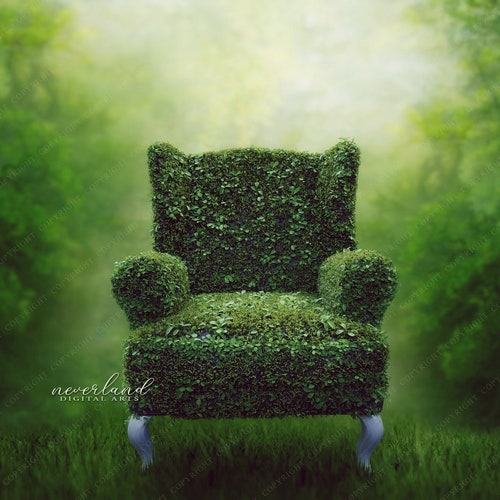 Mossy Chair in the Forest Background for Composites / - Etsy Israel