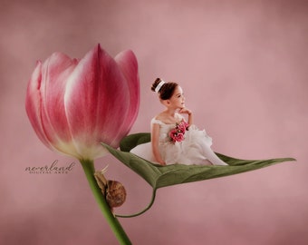 Snail & A Tulip Digital Background for Photography Compositions / Valentines Backgrounds and Overlays for Photoshop