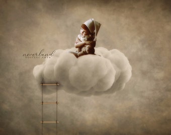 Cloud Dreams Backdrop Background / Newborn Photography Backdrop / Digital Valentines for Photographers / Newborn Overlay Background