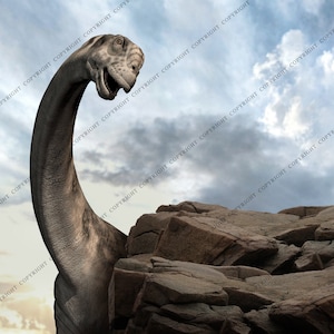 4 PACK Dinosaur Background /  Tyrannosaurus Rex Backgrounds & Overlays for Photoshop