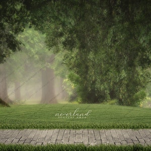 Warm Day In The Park Composite Background / Digital Photography Backdrop for Photographers / Photoshop Overlays