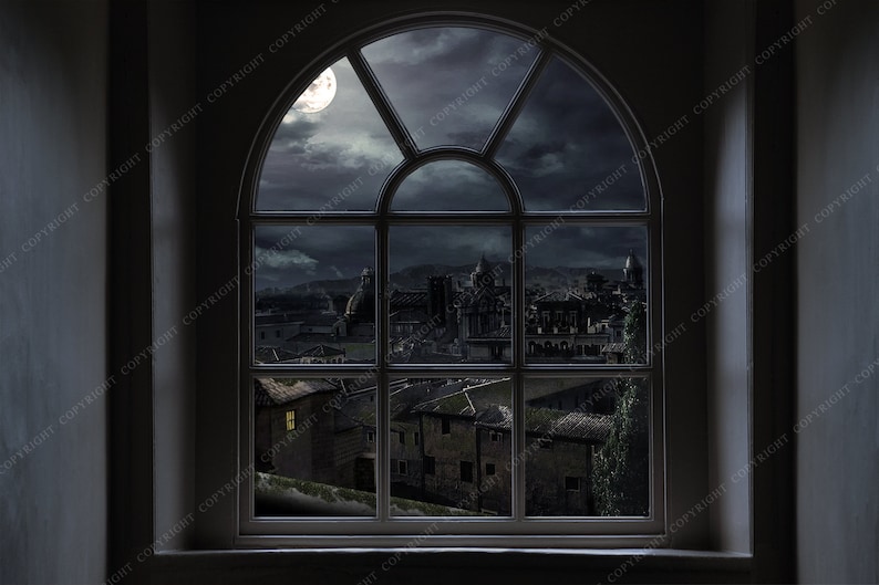 Window Background Reference Window Backdrop Background / Digital Backgrounds for Photographers ...