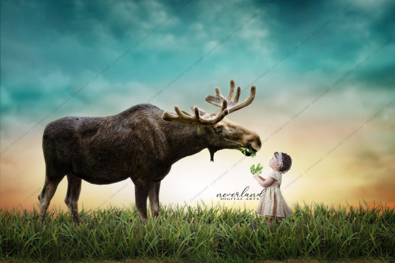 Moose Background for Photographers / Fairytale / | Etsy