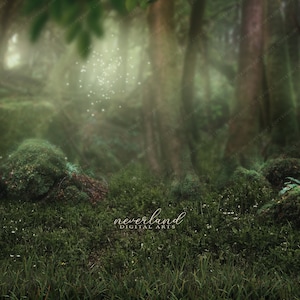 Magical Forest BUNDLE For Photography Composites / Layered PSD / PNG / Jpg / Background Composition / Photo Overlay / Add your own subject