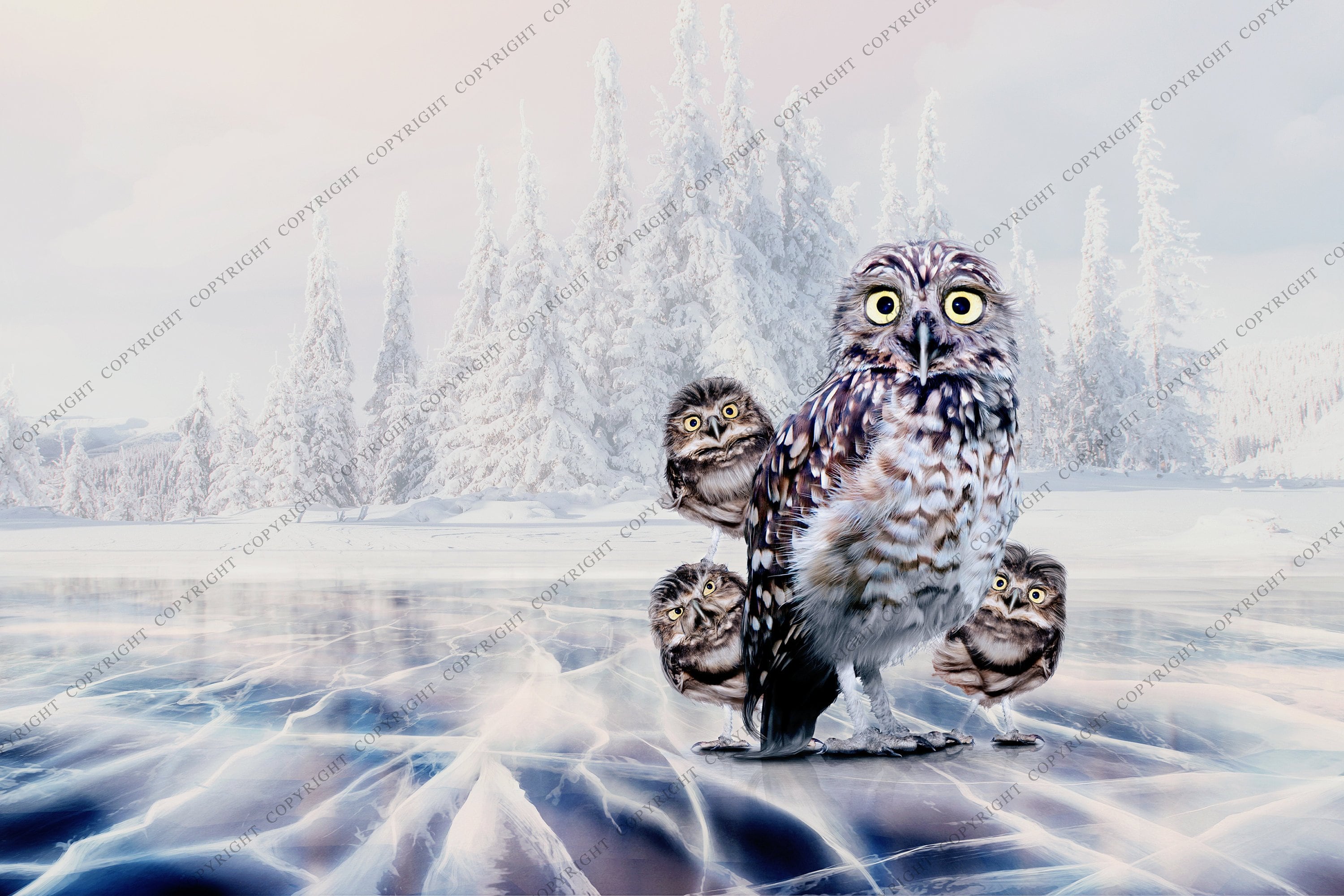 Owls On Ice Backdrop Background / Digital Background / Fantasy Backdrop / Magical Download / Instant