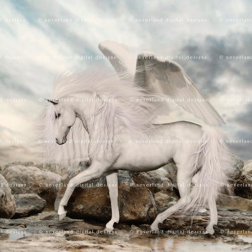 Unicorn Backdrop Background / Magical Backdrop / Fantasy Etsy