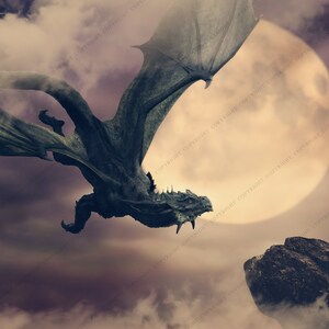 May include: A dark green dragon flies through a cloudy sky with a large, bright moon in the background. The dragon is facing the right side of the image and has its wings spread wide. The moon is a pale yellow color and is partially obscured by clouds.