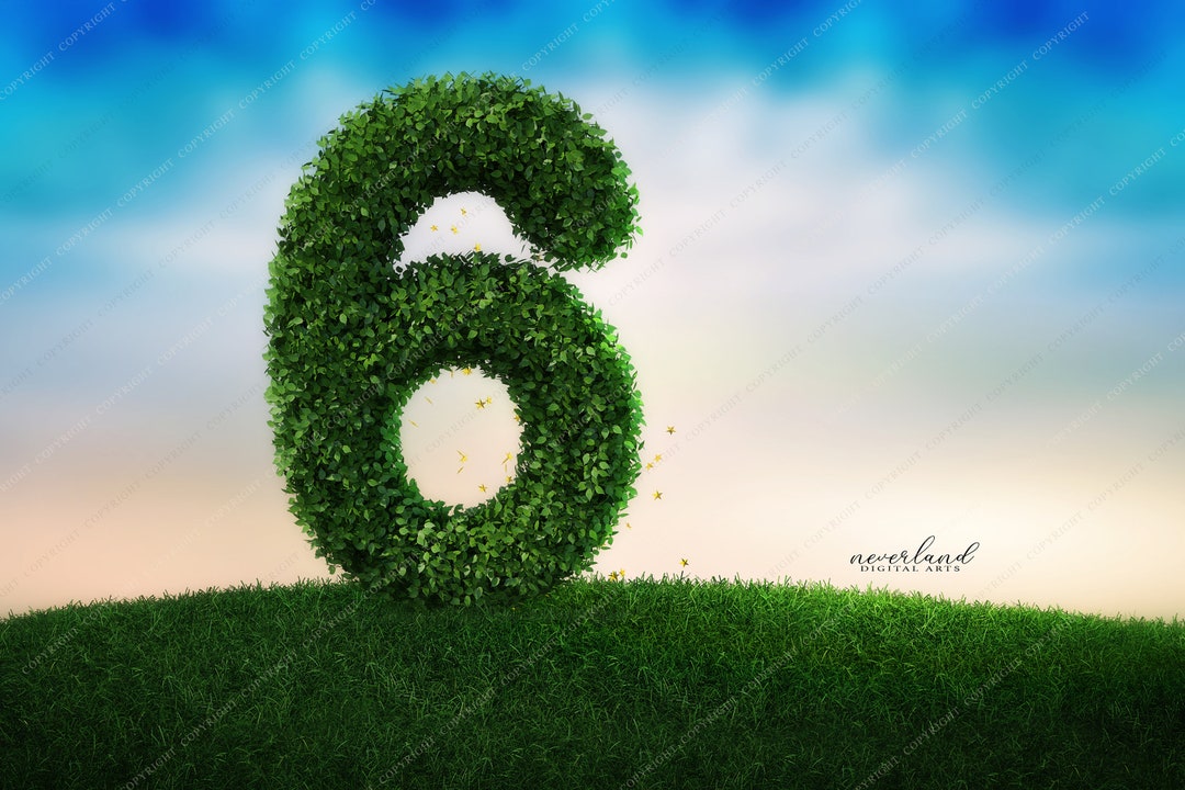 6th Birthday Background for Photography Compositions / Digital Backdrop ...