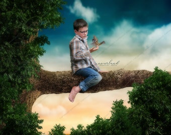 De Tree Branch Achtergrond voor Composities / Digitale Achtergrond voor Photoshop / Fotografen / Digitale Kunstenaars