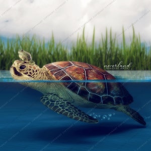 2 PACK Smiling Turtle Digital Background For Photography Compositions / Photoshop Backgrounds and Overlays for Photographers image 3