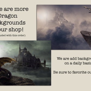 May include: Two digital illustrations of dragons in front of a fantasy castle in the clouds. The text "There are more Dragon Backgrounds in our shop! (Not included with this order)" is at the top of the image. The text "We are add backgrounds on a daily basis! Be sure to favorite our shop!" is at the bottom of the image.