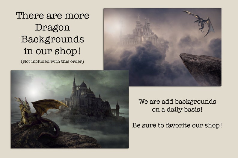 Sitting Dragon Background for Photographers / Dragon - Etsy