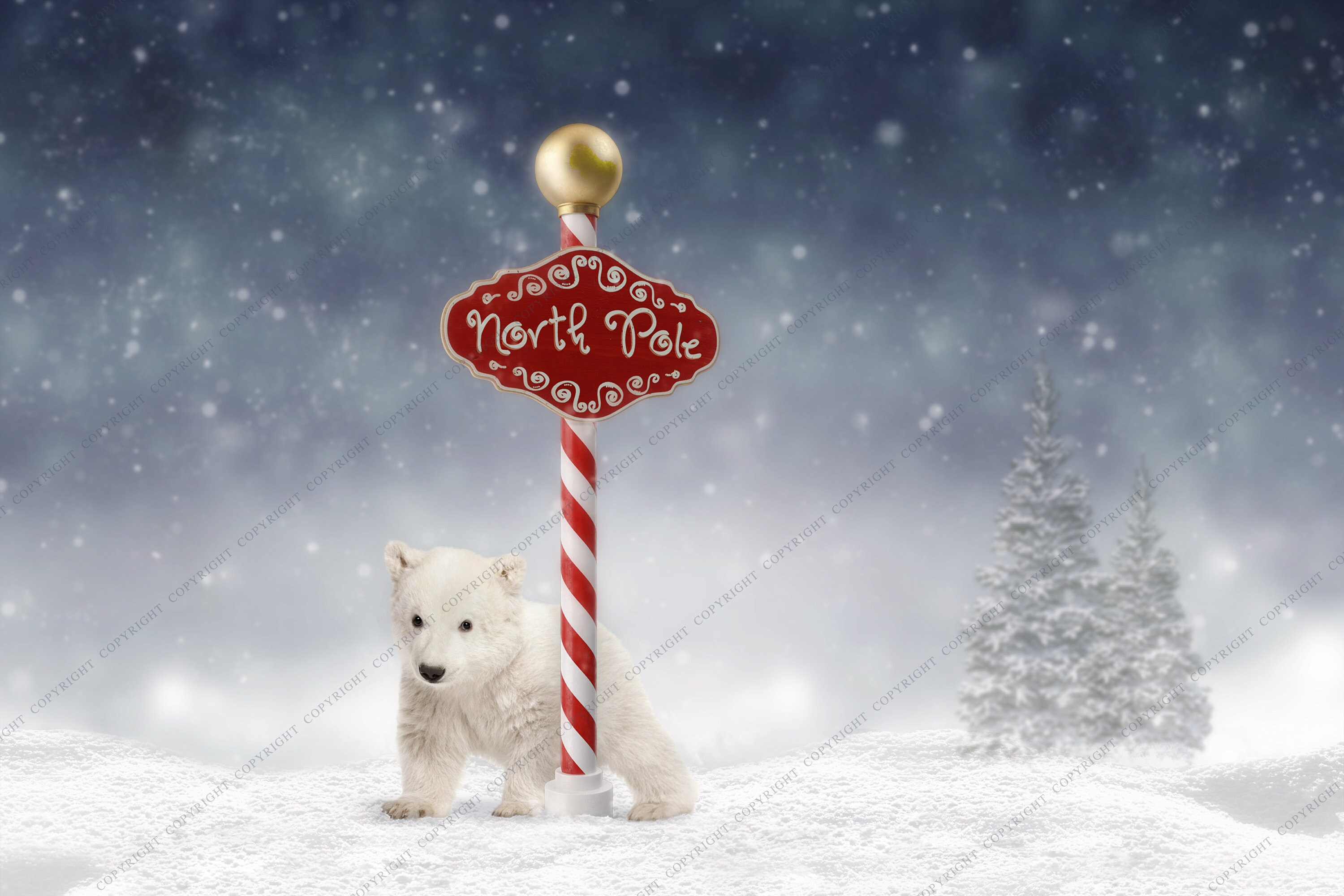 2 PACK North Pole Composite Background / Fondo de invierno para fotógrafos  / Fondo navideño para fotografía / Superposiciones - Etsy México, image size:3000x2000