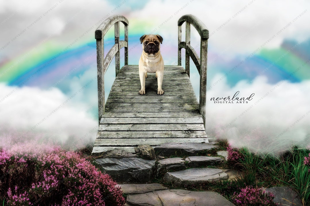 Rainbow Bridge Digital Background for Photography Composites
