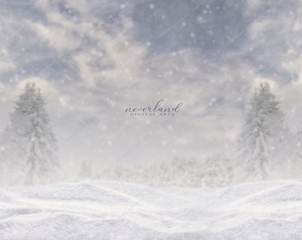 Winter Scene Composite Background for Photography /  Christmas Backdrop for Photography / Winter Scene / Princess