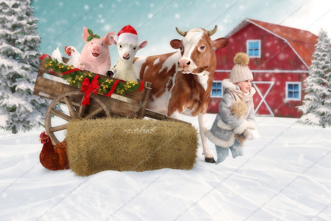 2 PACK Christmas at the Farm Background for Photography Composites