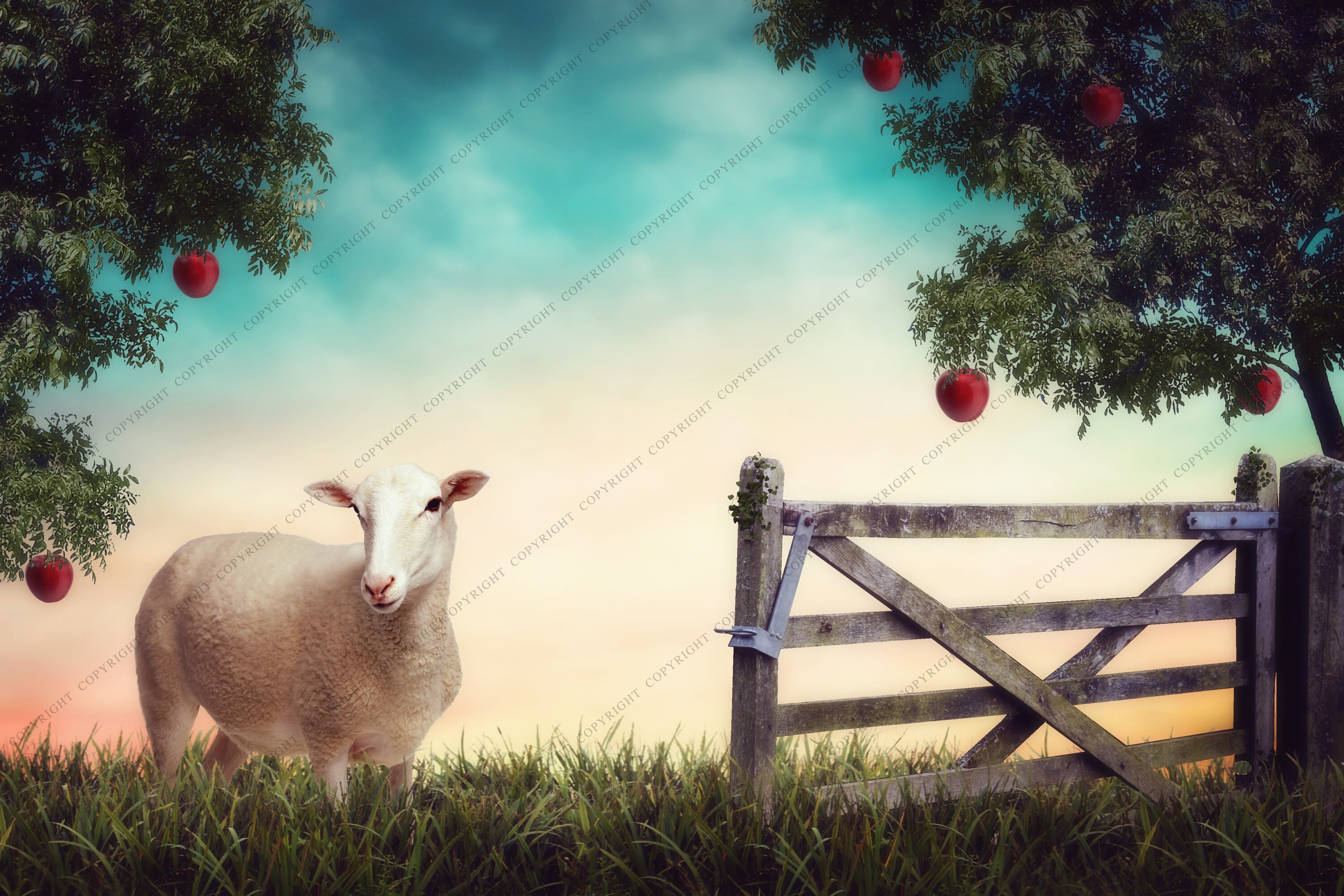 Apple Orchard Digital Background / Digital Backdrop / Fantasy | Etsy