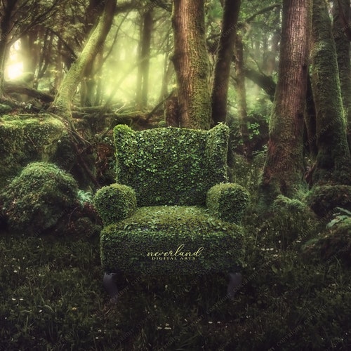 Mossy Chair in the Forest Background for Composites / - Etsy Hong Kong