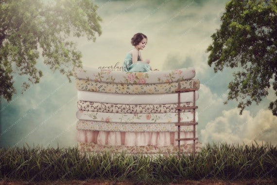 Primavera Tiempo Princesa Fondo De Fondo Para Fotografos Etsy Mexico