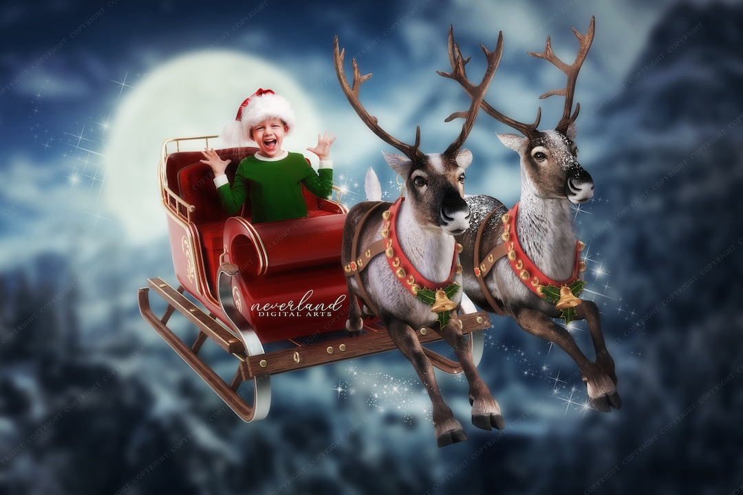 Amazon.co.jp: クリスマス トナカイ そり サンタ 置物 アクリル