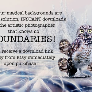 May include: A digital download of a snowy background with a group of owls. The text reads: "All of our magical backgrounds are HIGH Resolution, INSTANT downloads for the artistic photographer that knows no BOUNDARIES! You'll receive a download link directly from Etsy immediately upon purchase!"