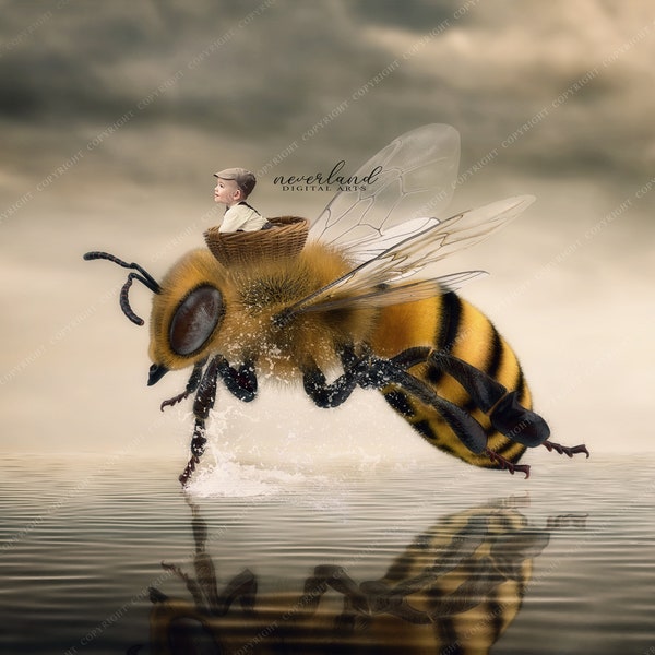 Ride A Bumblebee Digital Background For Photography / Backgrounds & Overlays For Photoshop / Background for Photographers / Kids Props