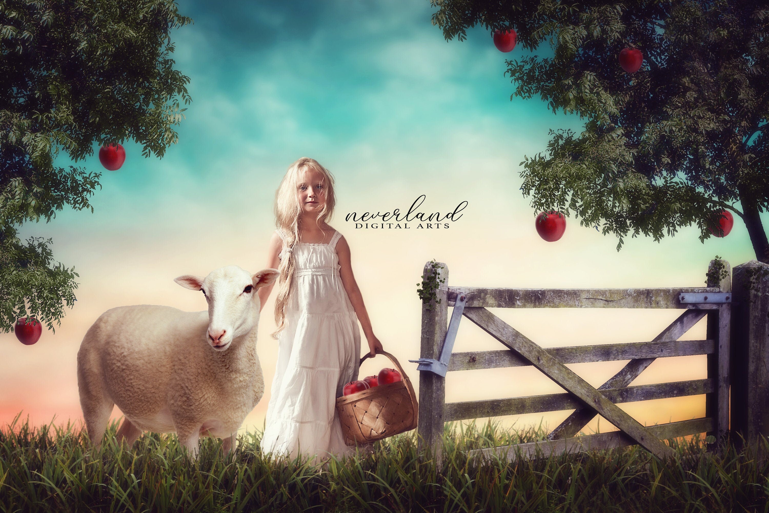 Apple Orchard Digital Background / Digital Backdrop / Fantasy | Etsy