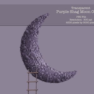 Moon Overlay / Purple Shag Moon Newborn Background / Newborn Transparent Overlay For Photography Compositions / PNG file