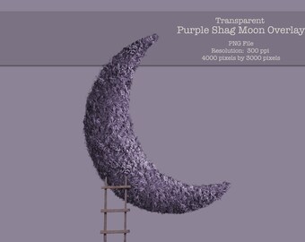 Moon Overlay / Purple Shag Moon Newborn Background / Newborn Transparent Overlay For Photography Compositions / PNG file