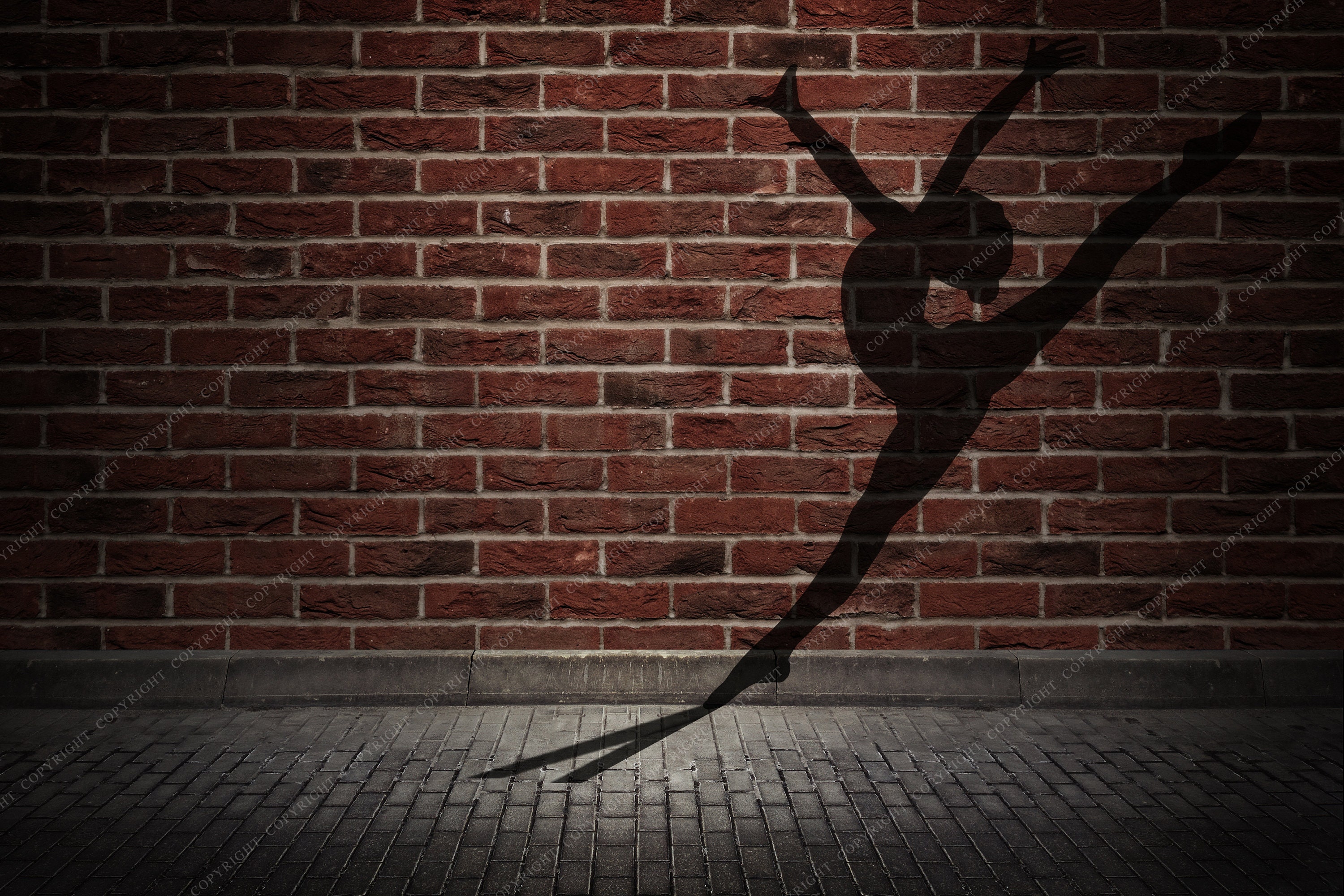 Shadow Dancer Background for Photographers / Instant Digital Download ...