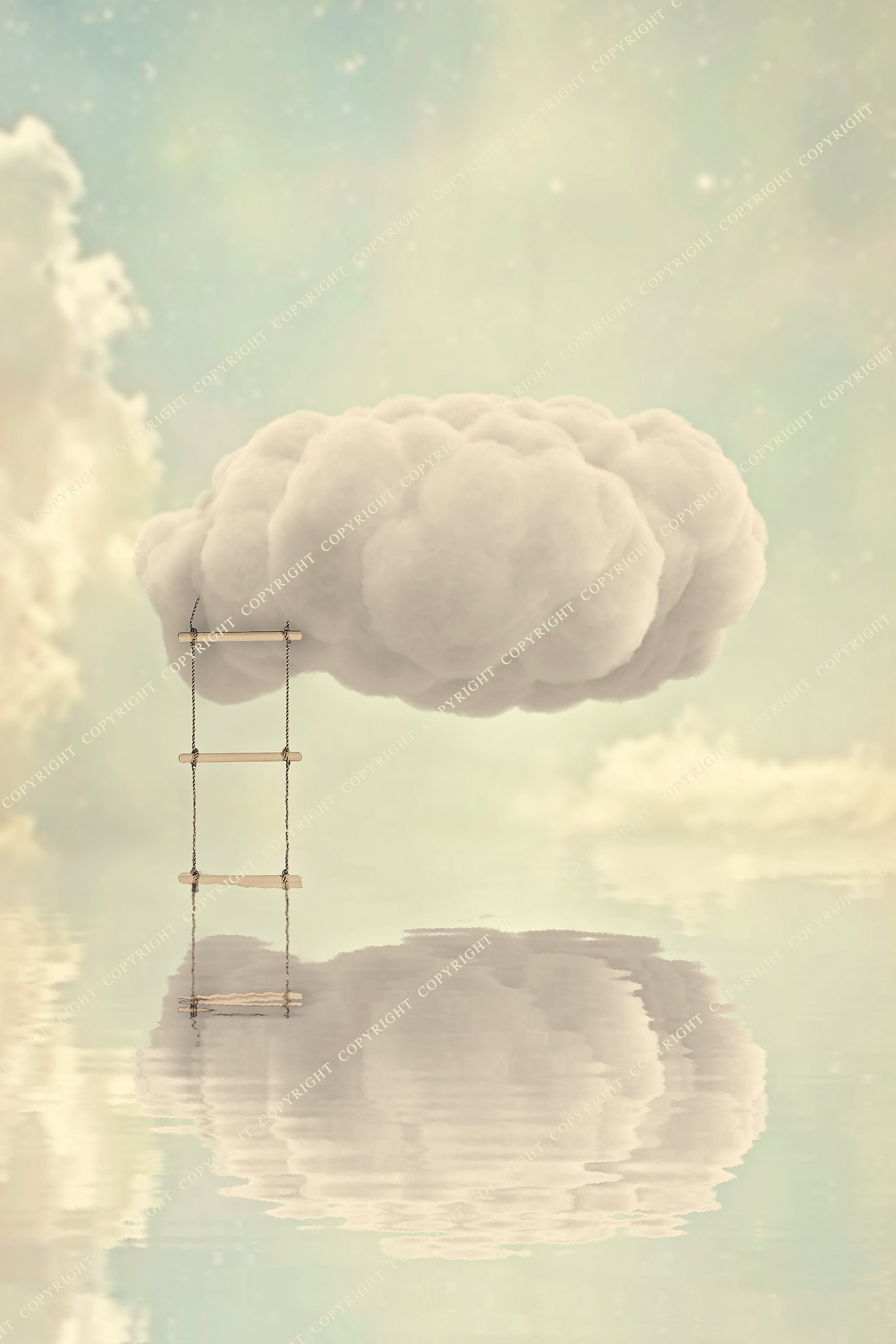 5 PACK Vintage Cloud Backdrop Background / Newborn Photography Etsy