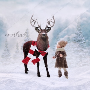 Pack de 2 fondos festivos de despedida de soltero para fotógrafos / Fondo navideño compuesto para fotografía / Descargas digitales y superposiciones /