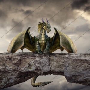 Friendly Dragon Background for Photographers / Dragon Background Instant Download / Composite Image / Magical Backdrop image 2