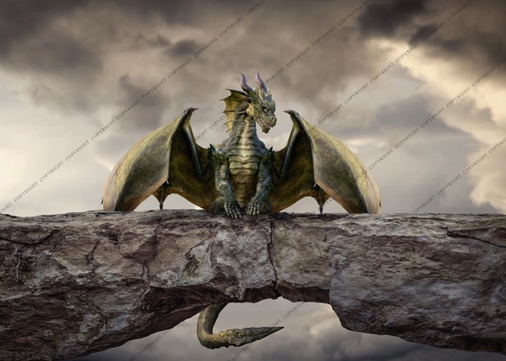 Dragon background deals