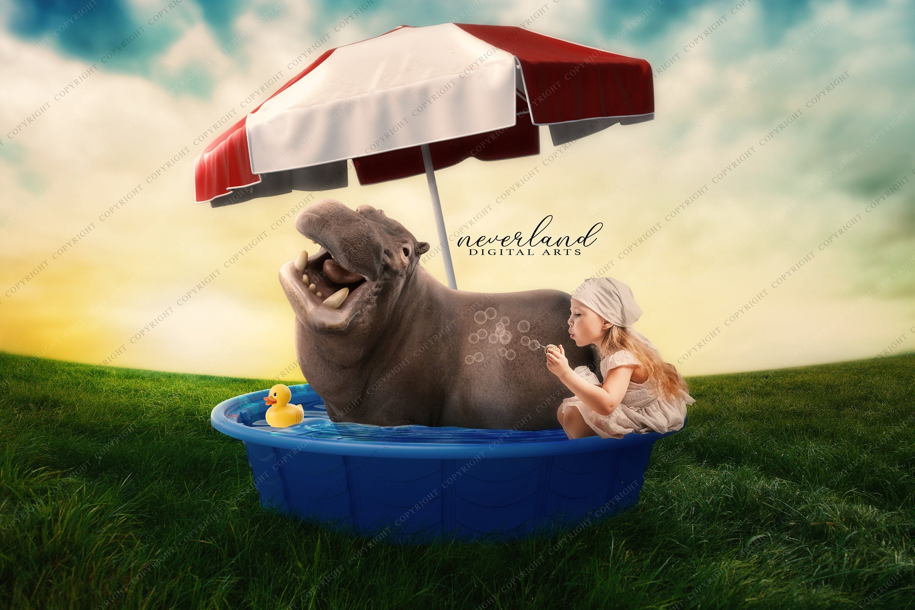 3 PACK Happy Hippo In A Pool Photography Composite Background | Etsy