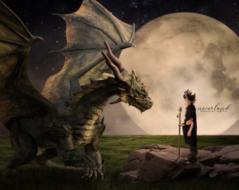 Dragons Field Background for Photographers / Dragon Background Instant Download / Composite Image / Magical Backdrop / Add Your Own Subject