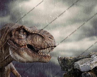 4 PACK Dinosaur Background /  Dinosaur Digital Background For Photography /  Trex Tyrannosaurus Rex Overlays & Backgrounds for Photoshop
