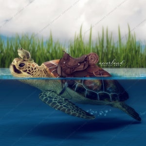 2 PACK Smiling Turtle Digital Background For Photography Compositions / Photoshop Backgrounds and Overlays for Photographers image 2