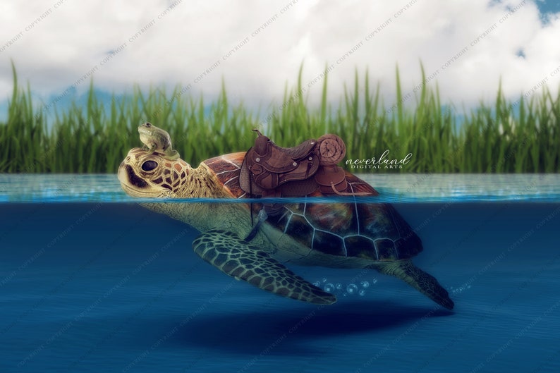 2 PACK Smiling Turtle Digital Background For Photography Compositions / Photoshop Backgrounds and Overlays for Photographers image 2