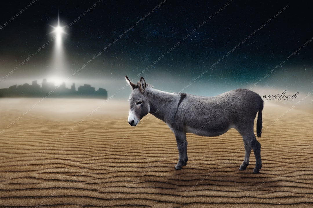 Donkey in Bethlehem Winter Background for Photography Composites