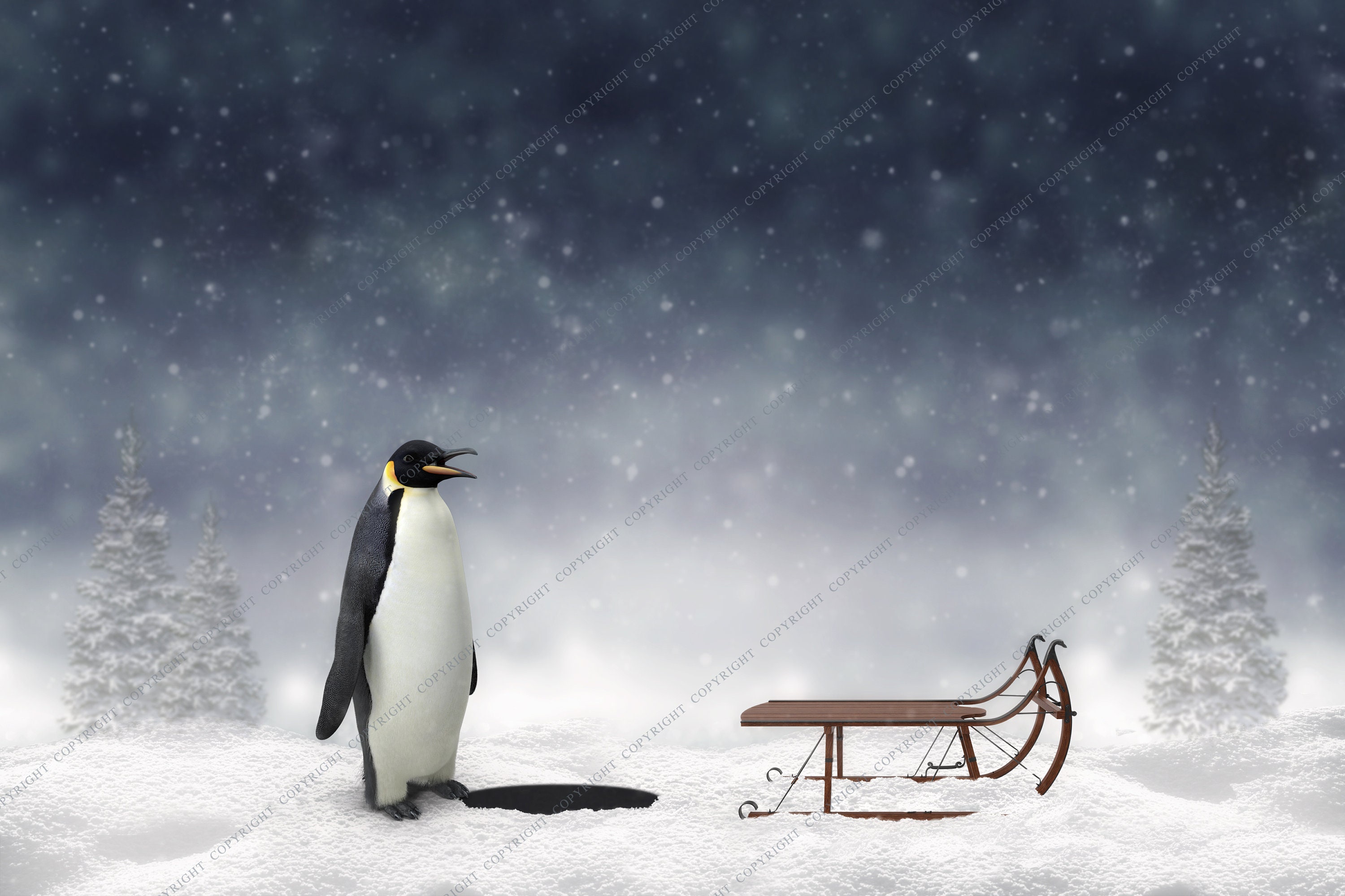 3 PACK Ice Fishing Winter Background for Photography | Etsy