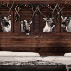 Stalla di renne / Natale / Sfondo invernale festivo per la fotografia Compositi / Sfondo di composizione / Vacanze Aggiungi il tuo soggetto /