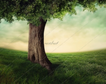 Magical Field Background / Digital Background for Photographers / Photoshop / Field & Tree